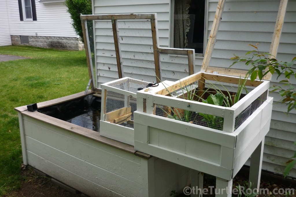 Building A Nest Box For Above Ground Ponds Theturtleroomtheturtleroom,How To Grow Cilantro From Grocery Store