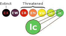 lc-least-concern
