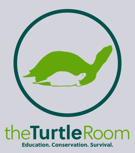theTurtleRoom 2015 Logo T - Ash Gray
