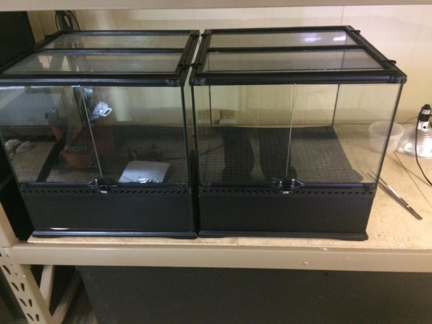 Vivarium False Bottom