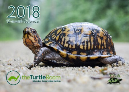 theTurtleRoom 2018 Turtle Calendar