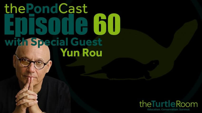 Ep. 60: Turtle Planet