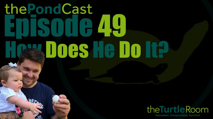 Ep. 49: How Does He Do It?