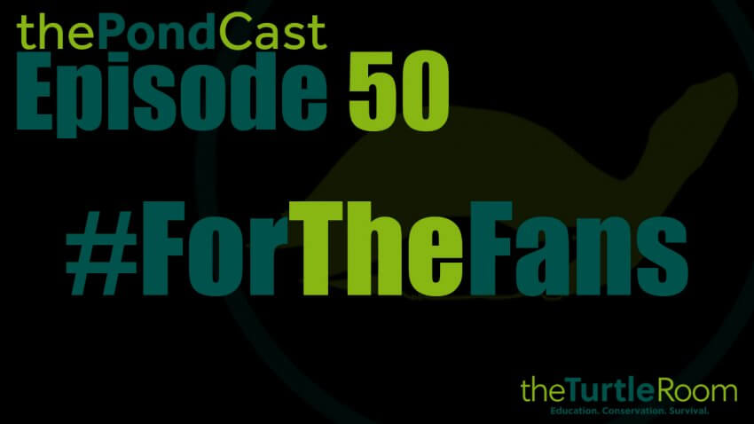 Ep. 50: Viewer Appreciation Night