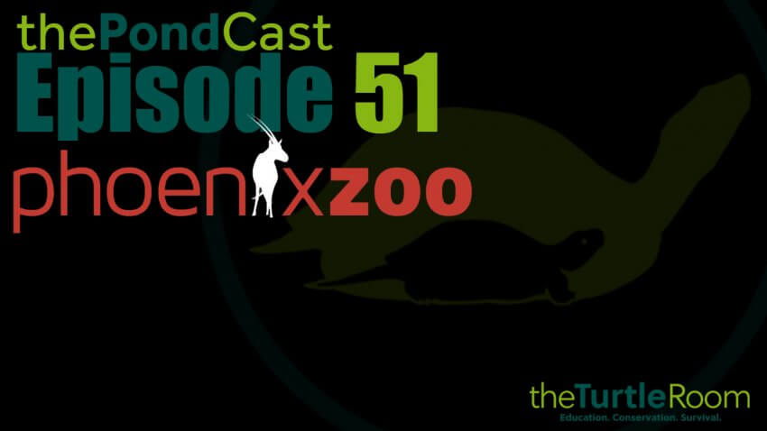 Ep. 51: 