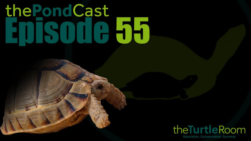 Ep. 55: Ralph's on the Phone