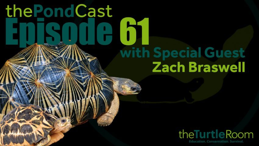 Ep. 61: Madagascar!