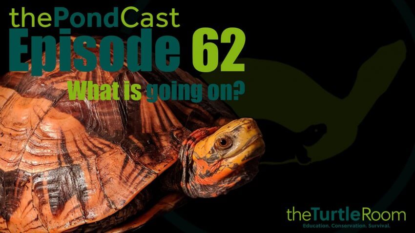 Ep. 62: What is Going On?!?!