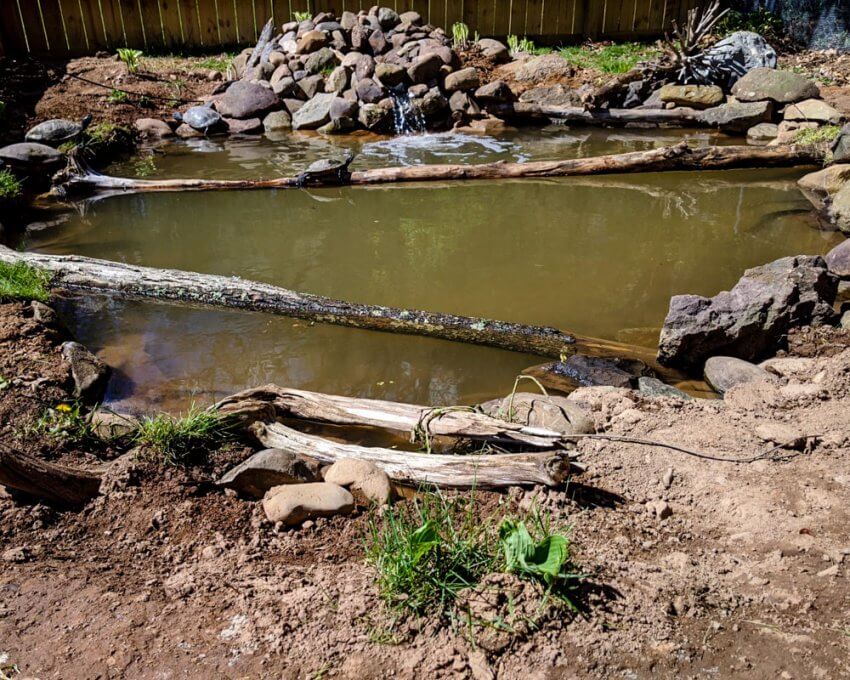 Completed turtle pond.