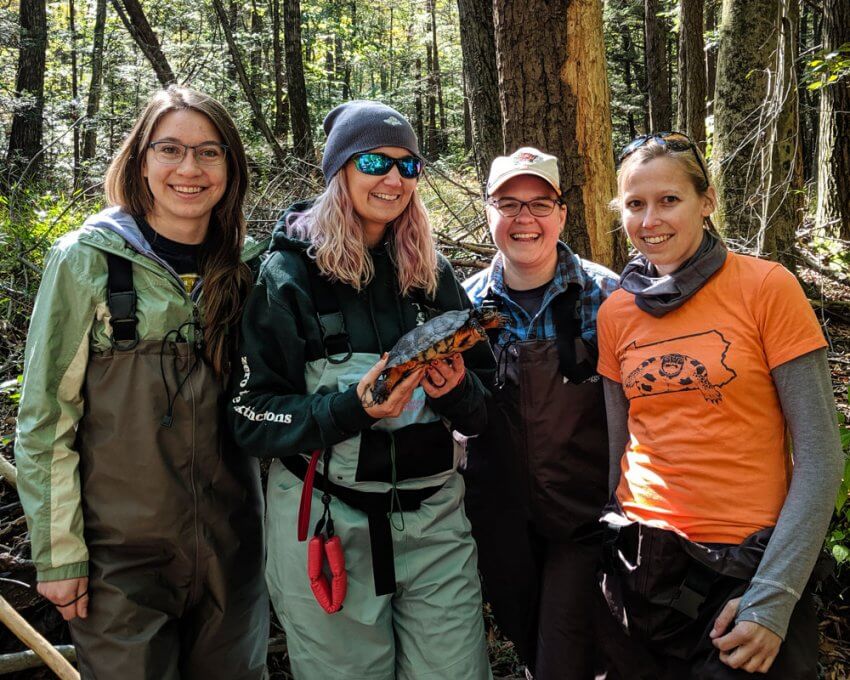 Group of women doing research for theTurtleRoom