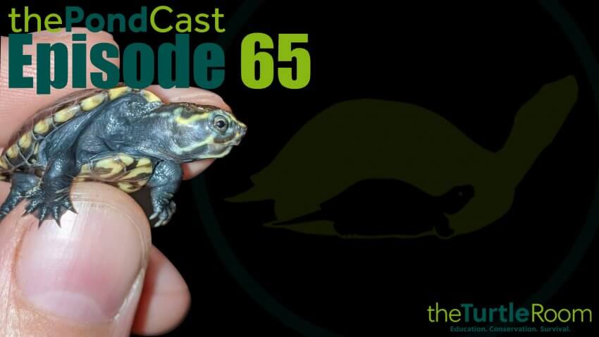 Ep. 65: Husbandry Talk, Vol. 1: Playing Favorites