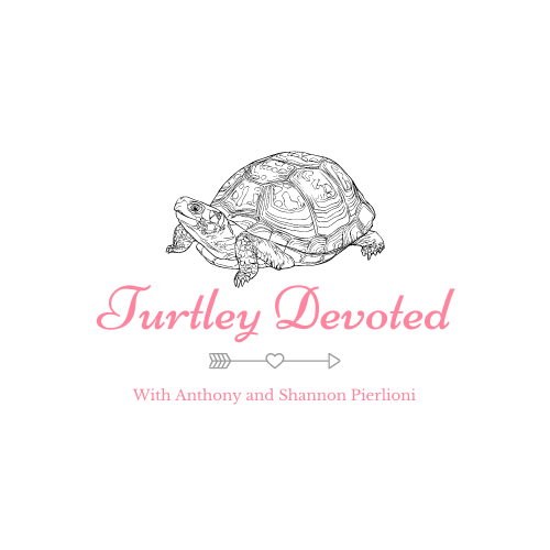 Turtley Devoted
