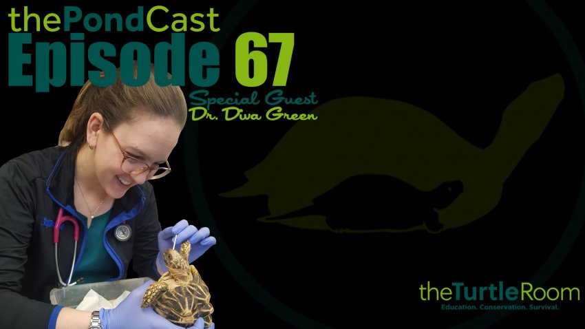 Ep. 67: Veterinary Partnerships