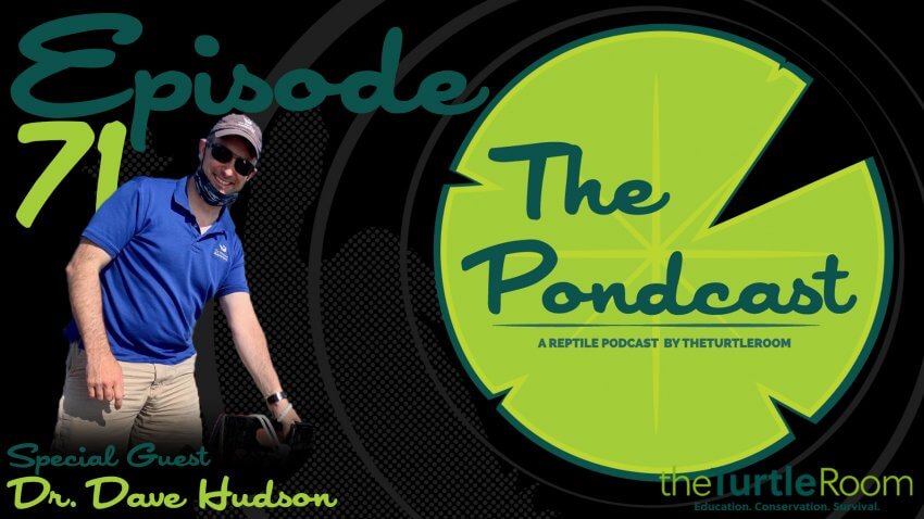 Ep. 71: Research Scientist, Dr. Dave Hudson