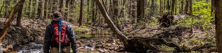 ttr_Wood_Turtle_Project_0041_2500x600