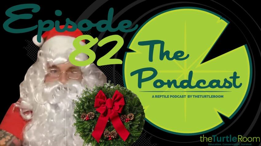Ep. 82: Happy Holidays 2021