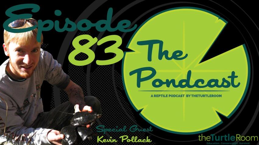 Ep. 83: Mystery Guest